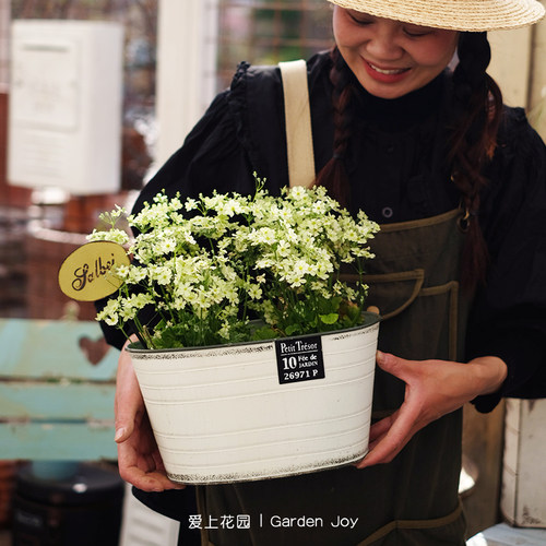 庭院花园装饰铁艺盆器