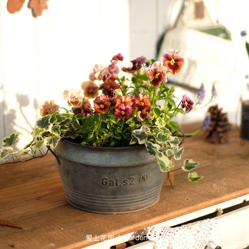 庭院花园家居装饰花盒