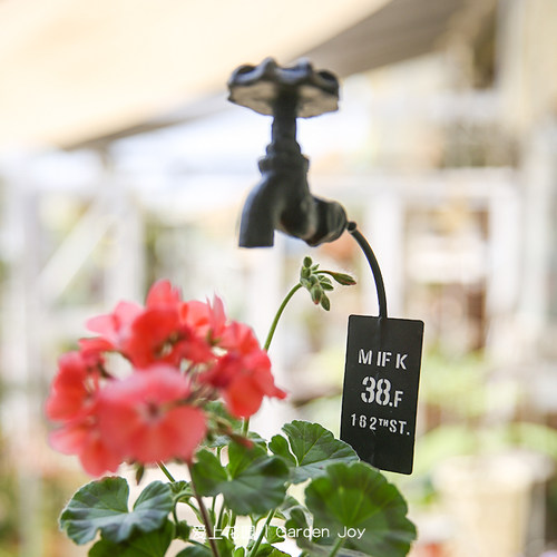 装饰摆件花园园艺装饰