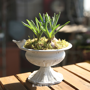 爱上花园 园艺杂货 铁艺做旧铁皮装饰摆件 铅色霜色小鸟莲花底杯