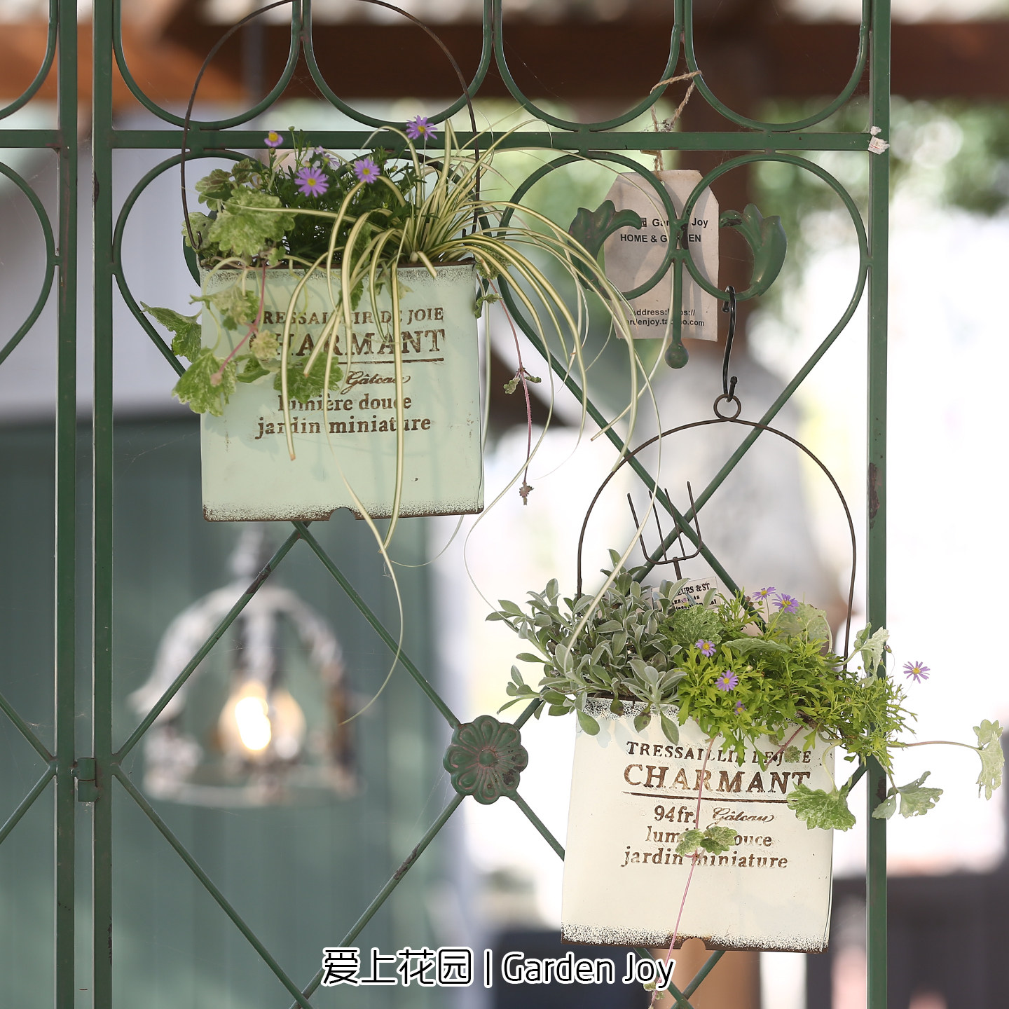 爱上花园铁艺做花盒壁挂盆阳台杂货花园装饰迷你提包壁挂盆,鲜花速递/花卉仿真/绿植园艺,其它园艺用品,淘宝优惠券,粉丝福利购,淘宝优惠卷