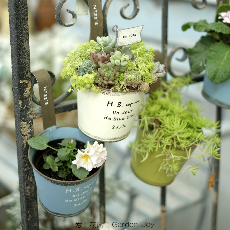 爱上花园|铁艺花盆 铁皮做旧壁挂桶 H.B.圆口收底挂盆,鲜花速递/花卉仿真/绿植园艺,花盆,淘宝优惠券,粉丝福利购,淘宝优惠卷