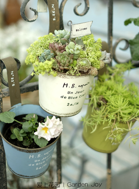 爱上花园|铁艺花盆 铁皮做旧壁挂桶 H.B.圆口收底挂盆