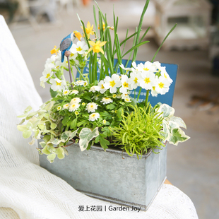 爱上花园 园艺杂货 铁艺铁皮花盆花盒 翻盖SIMPLICITE.8长花盒