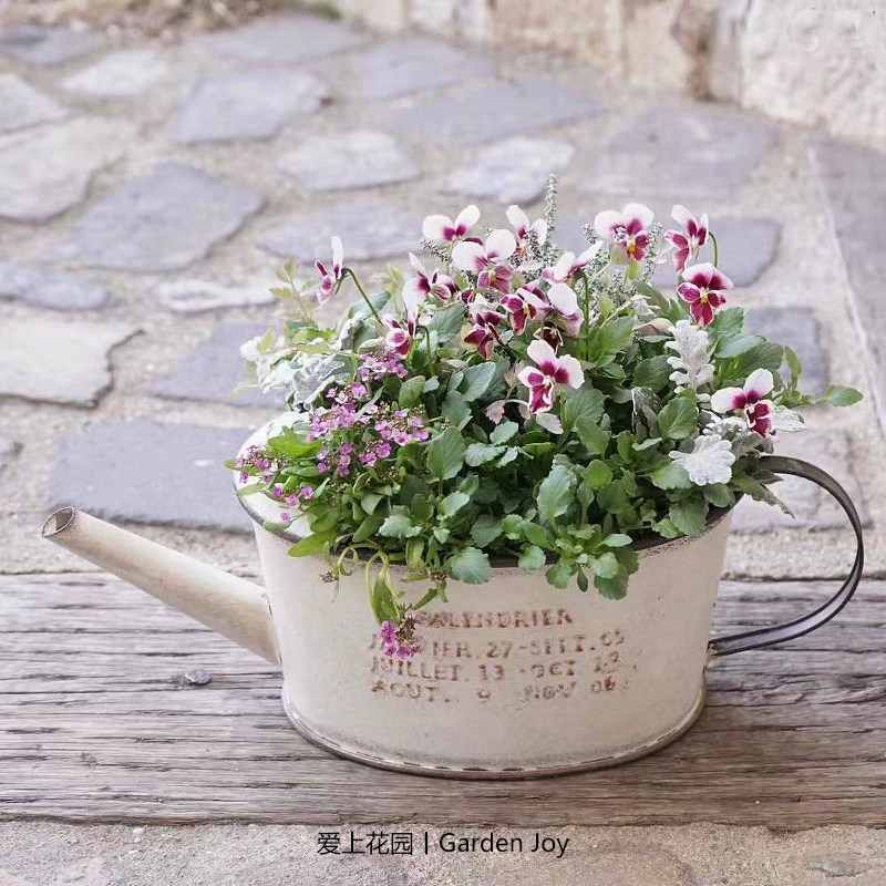 爱上花园 园艺杂货 铁艺铁皮做旧花盒 椭圆盆口水壶花盆,鲜花速递/花卉仿真/绿植园艺,花盆,淘宝优惠券,粉丝福利购,淘宝优惠卷