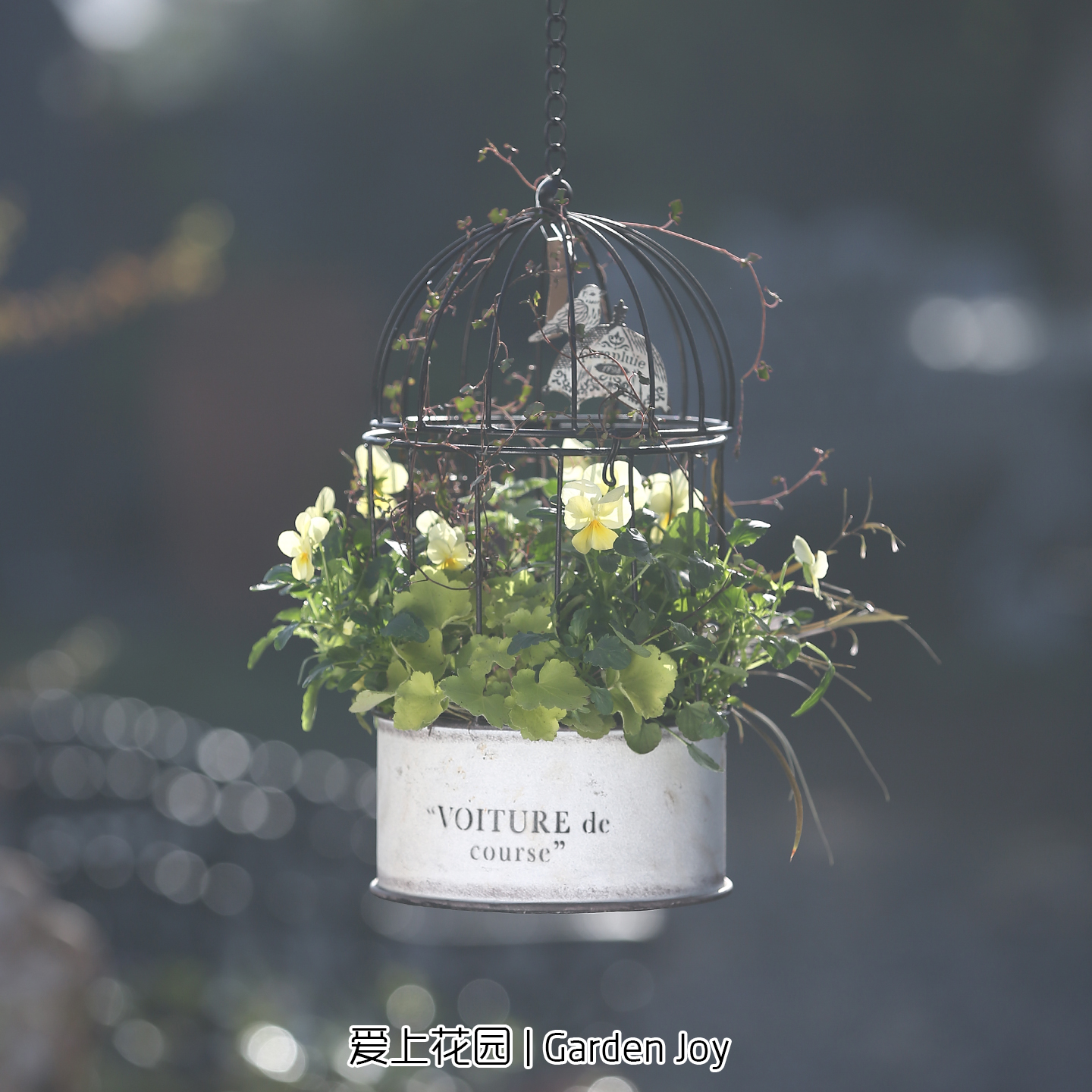 爱上花园家居阳台庭院装饰杂货铁艺花盆复古做旧链条悬挂鸟笼花盒