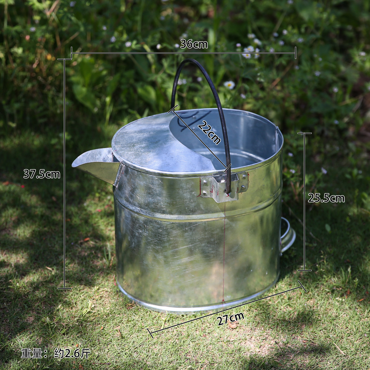 花园杂货装饰铁皮提桶水桶洒水壶铁艺花器工具摆设小水舀水勺带锈