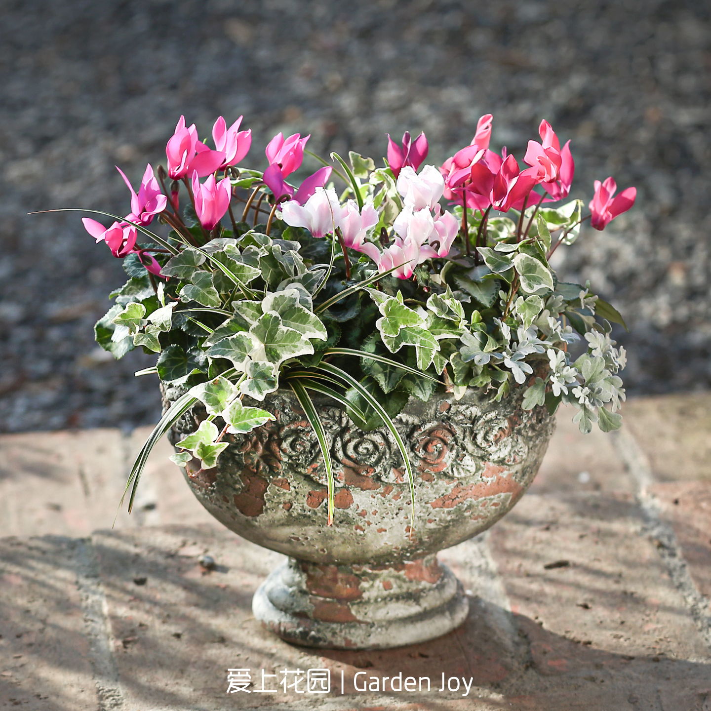 爱上花园粗陶红陶庭院阳台家居复古做旧椭圆玫瑰花手压红陶盆