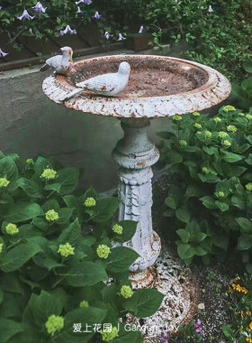 铸铁双鸟鸟食盆花园装饰乡村风