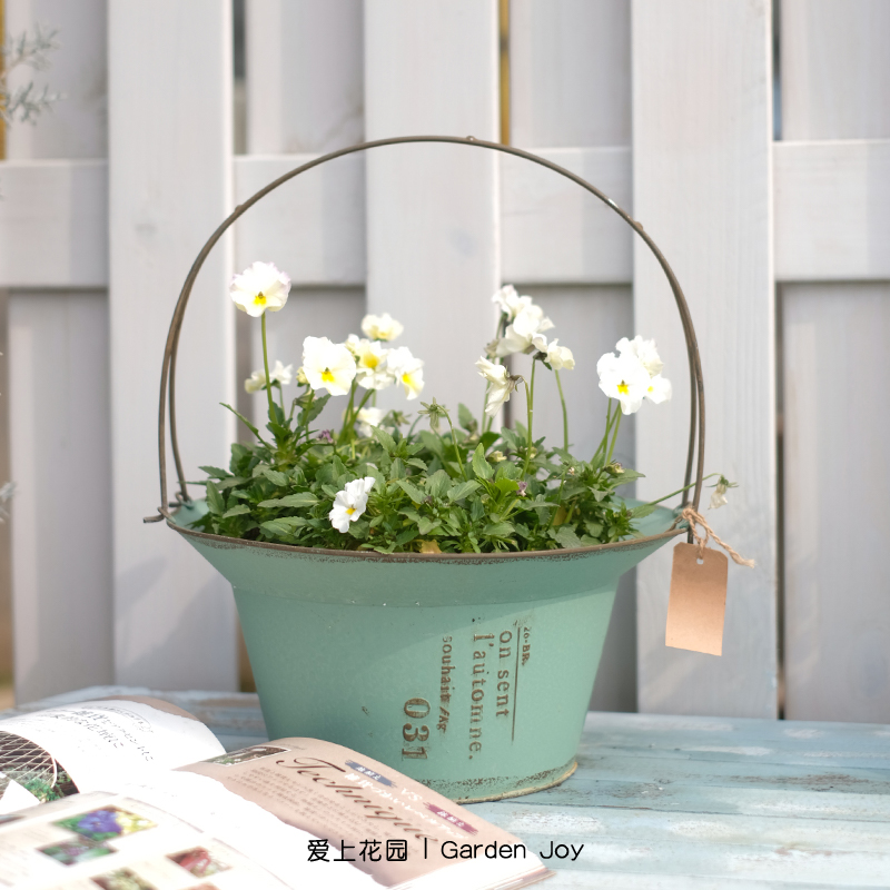 庭院花园装饰铁皮花盆