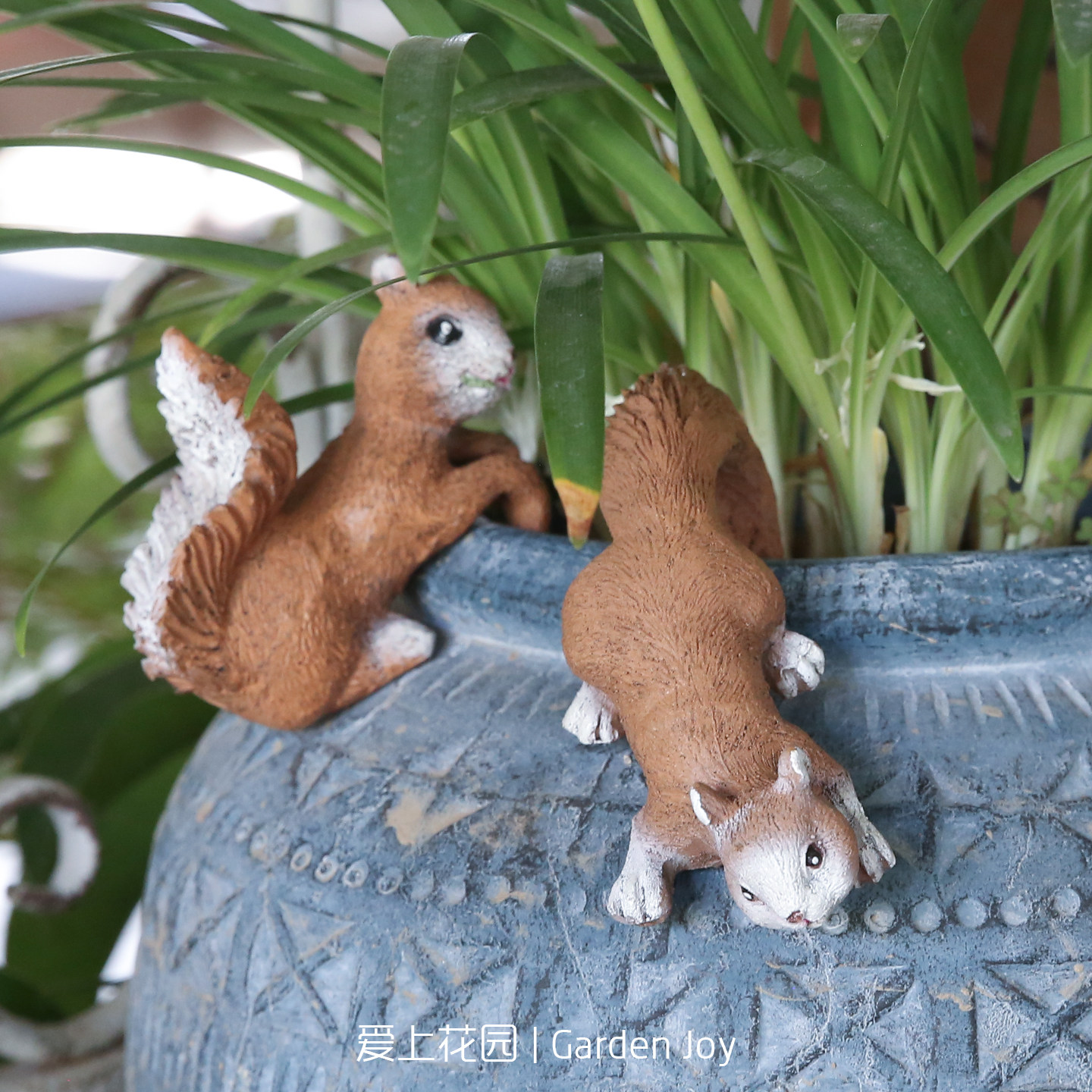 爱上花园杂货摆件 花园阳台装饰卡通摆件树脂做旧松鼠青蛙,鲜花速递/花卉仿真/绿植园艺,其它园艺用品,淘宝优惠券,粉丝福利购,淘宝优惠卷