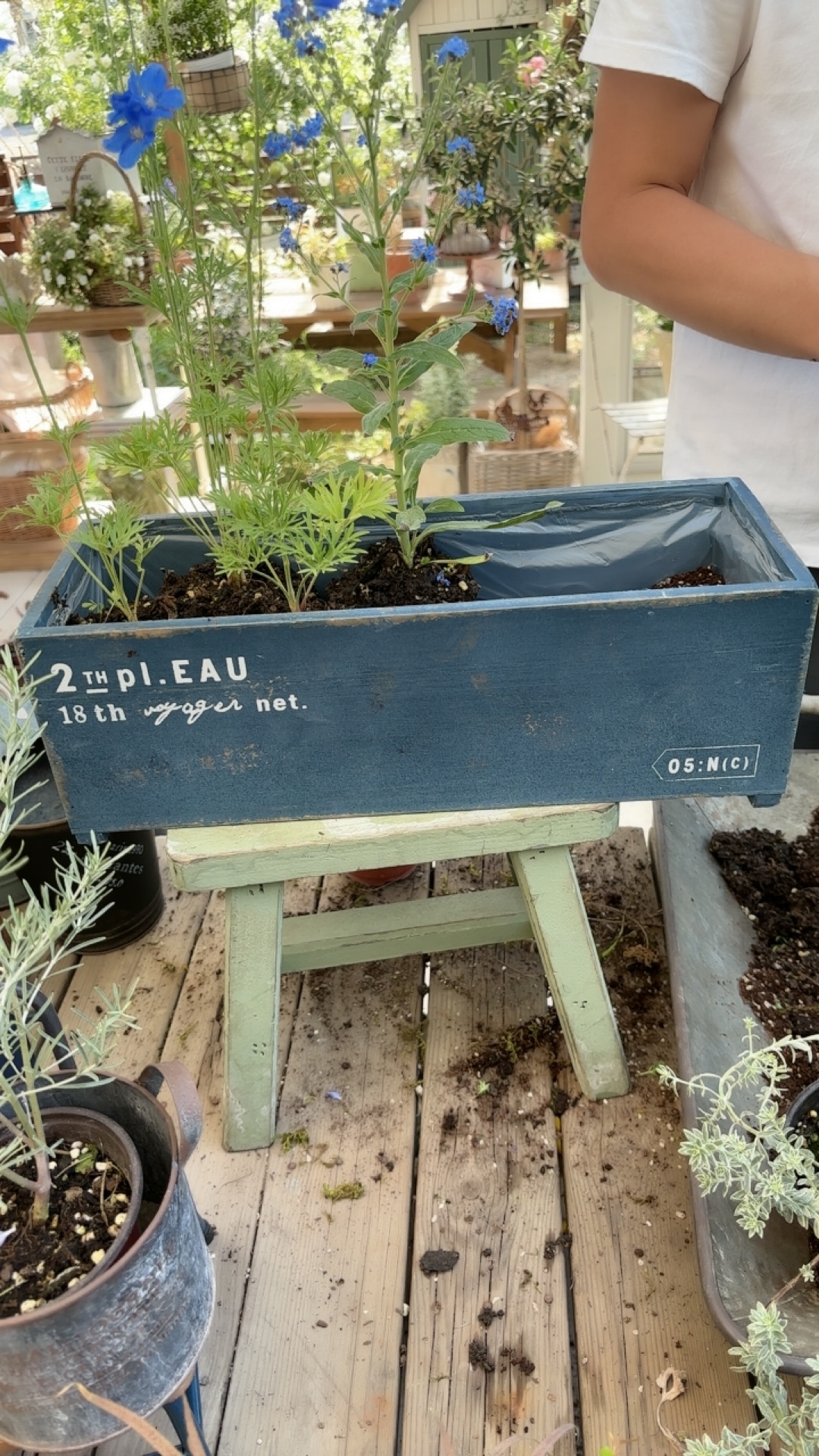 爱上花园杂货花园装饰杂货花园摆件迷你置物架实木长条盆