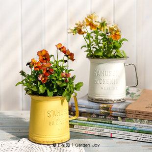 爱上花园做旧铁皮水杯花盆器盆栽阳台欧式ins日系田园花园杂货