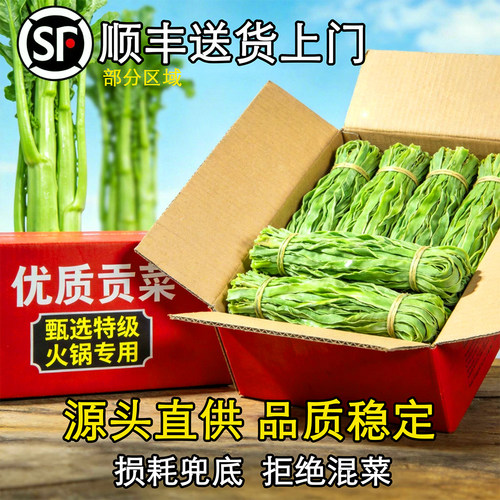 整箱10斤特级商用苔干贡菜干货特级火锅店专用苔干精品批发包邮