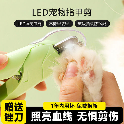 「宠生活」宠物猫咪狗狗