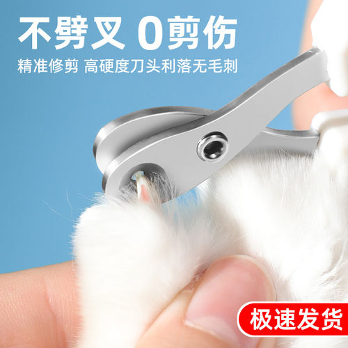 「宠生活」猫咪指甲剪宠