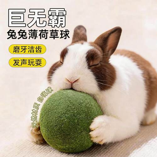 「宠生活」兔子草球超大