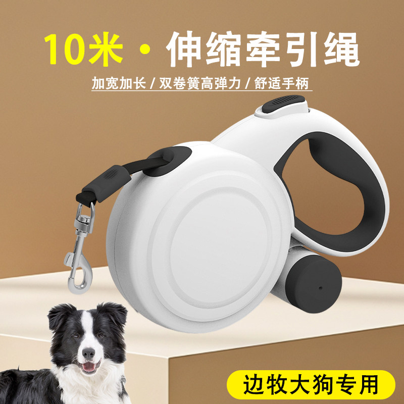 「宠生活」边境牧羊犬牵
