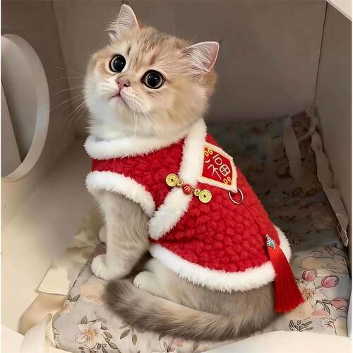「宠生活」小猫咪衣服冬