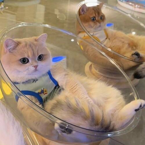 「宠生活」太空舱猫窝四