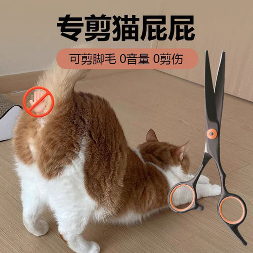 「宠生活」猫咪屁股剪毛