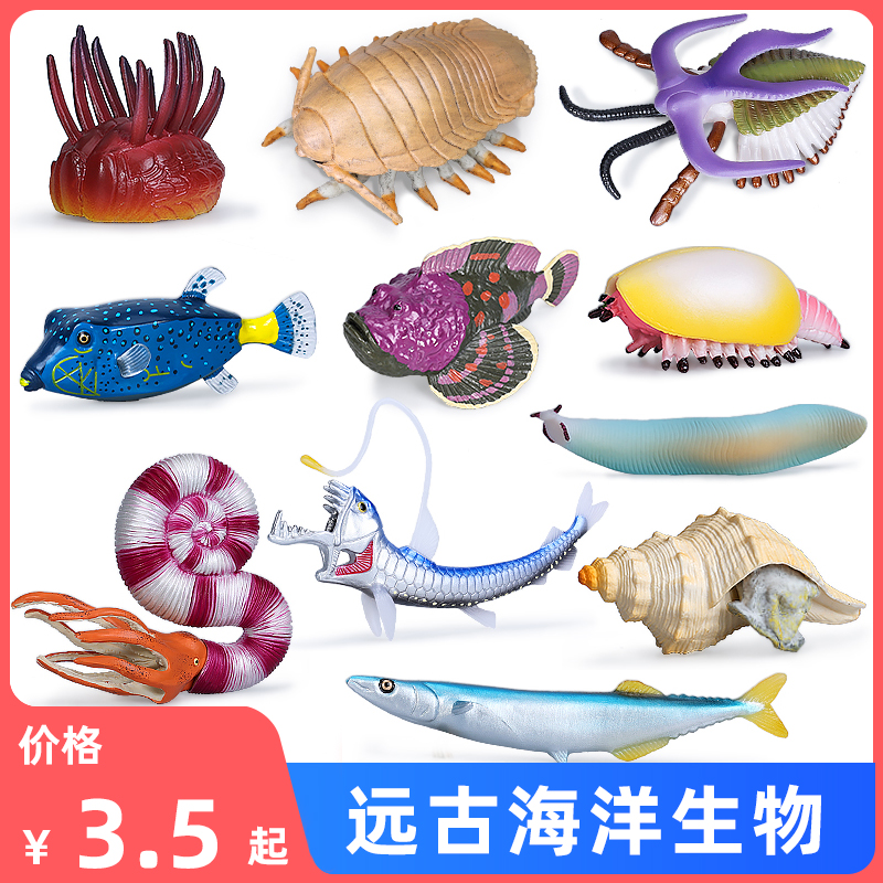 仿真远古海洋生物模型玩具