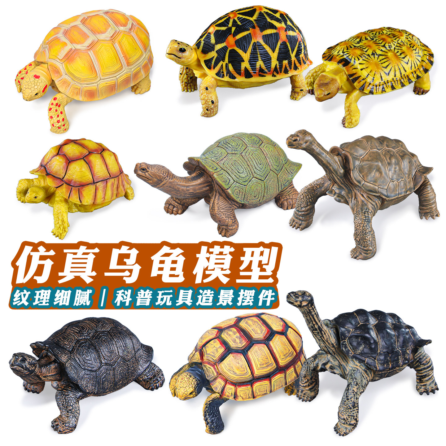 仿真动物模型陆海龟玩具加拉帕戈斯象龟两栖塑料儿童科教认知摆件