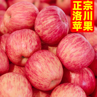 包邮 正宗陕西洛川苹果水果新鲜当季 整箱红富士冰糖心一级脆甜10斤