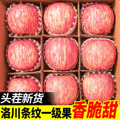 【5A品质】正宗洛川苹果产地直发