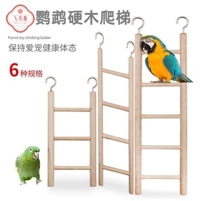 鹦鹉硬木楼梯玩具秋千云梯爬梯