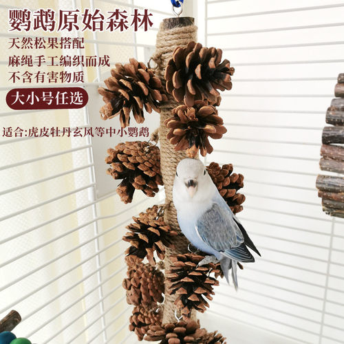 鹦鹉松果啃咬串站架秋千玩具