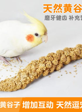 鹦鹉谷物逗宠棒天然谷物穗互动食