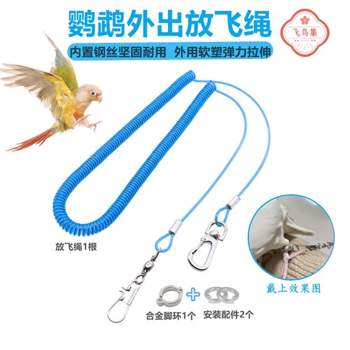八哥乌鸦玄凤训练飞行外出遛鸟绳
