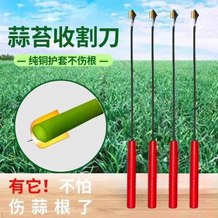 打蒜苔刀神器蒜薹收割刀抽蒜器拔剥提打蒜苔刮划蒜苗摘蒜苗的工具