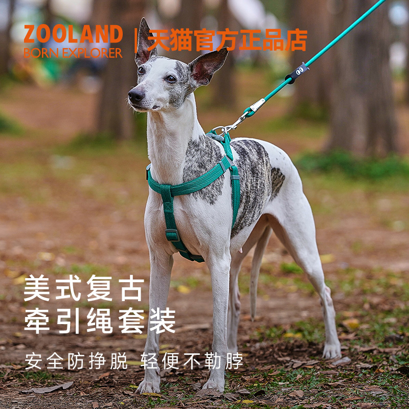 ZOOLAND狗狗胸背牵引绳遛宠物幼小中型犬比熊博美泰迪柴犬狗链子