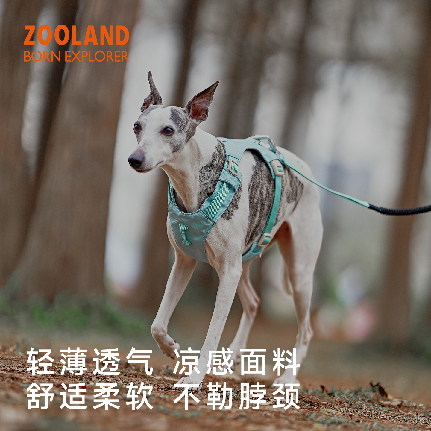 ZOOLAND狗狗胸背牵引绳工字遛狗小中大型犬防爆冲挣脱宠物牵狗绳