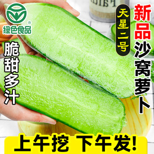 天星二号沙窝萝卜 新鲜水果萝卜正宗天津特产青萝卜应季脆甜整箱