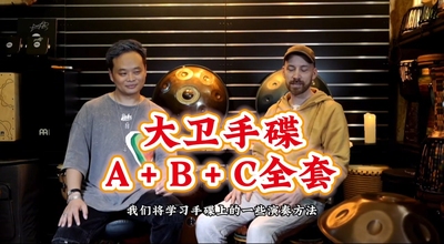 大卫手碟A+B+C全套