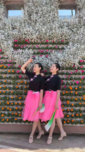 纯棉新款 夏纱裙套装 跳舞健身上衣 田野上广场舞服装 花与影在希望