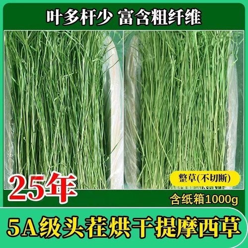 烘干提摩西草荷兰猪龙猫兔牧草