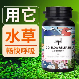 二氧化碳片鱼缸专用草缸水草爆藻水族二氧化碳发生器祛黄叶缓释片