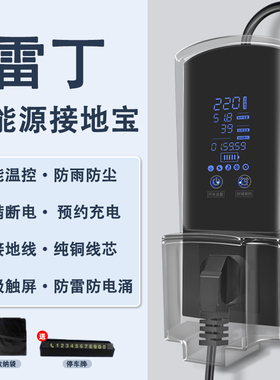 雷丁芒果pro/max/d50/d70d80电动汽车配件充电转换器免地线接地宝