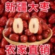 新疆和田大枣特大号红枣大个优质玉枣骏枣零食红枣 超值