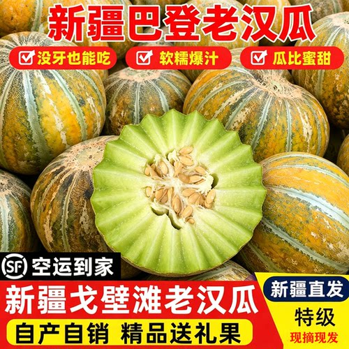 新疆老汉瓜新鲜当季甜瓜软糯香甜孕妇水果整箱现摘顺丰空运包邮