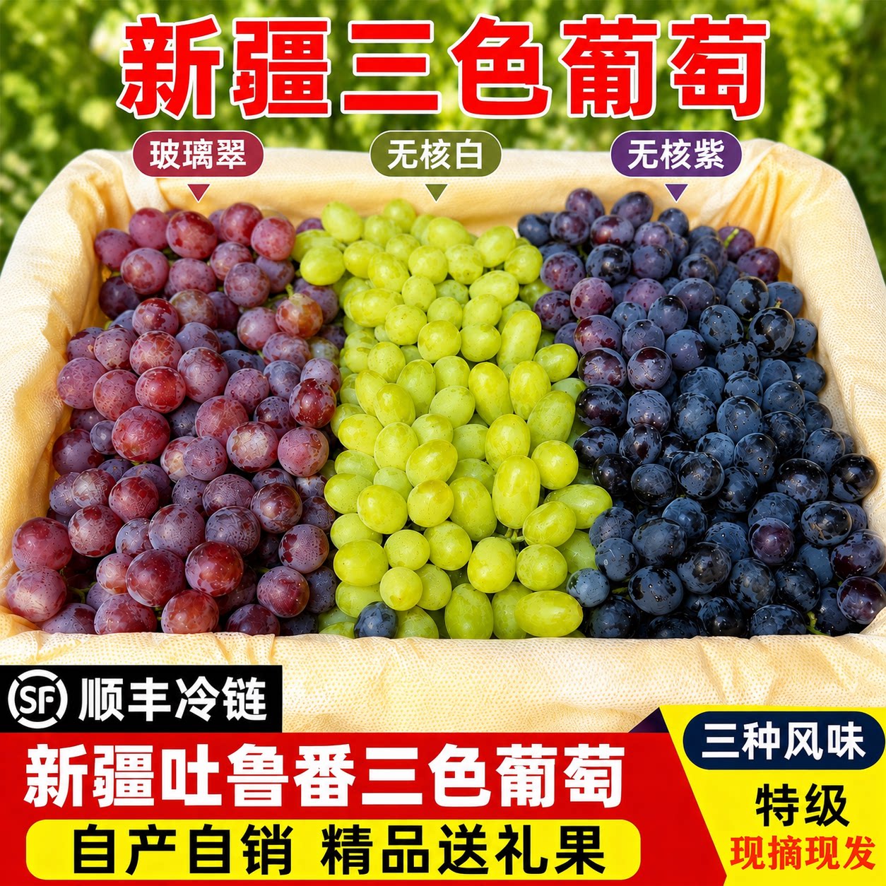 新疆吐鲁番三色葡萄新鲜三拼无核白紫水果提子应季玻璃翠顺丰包邮