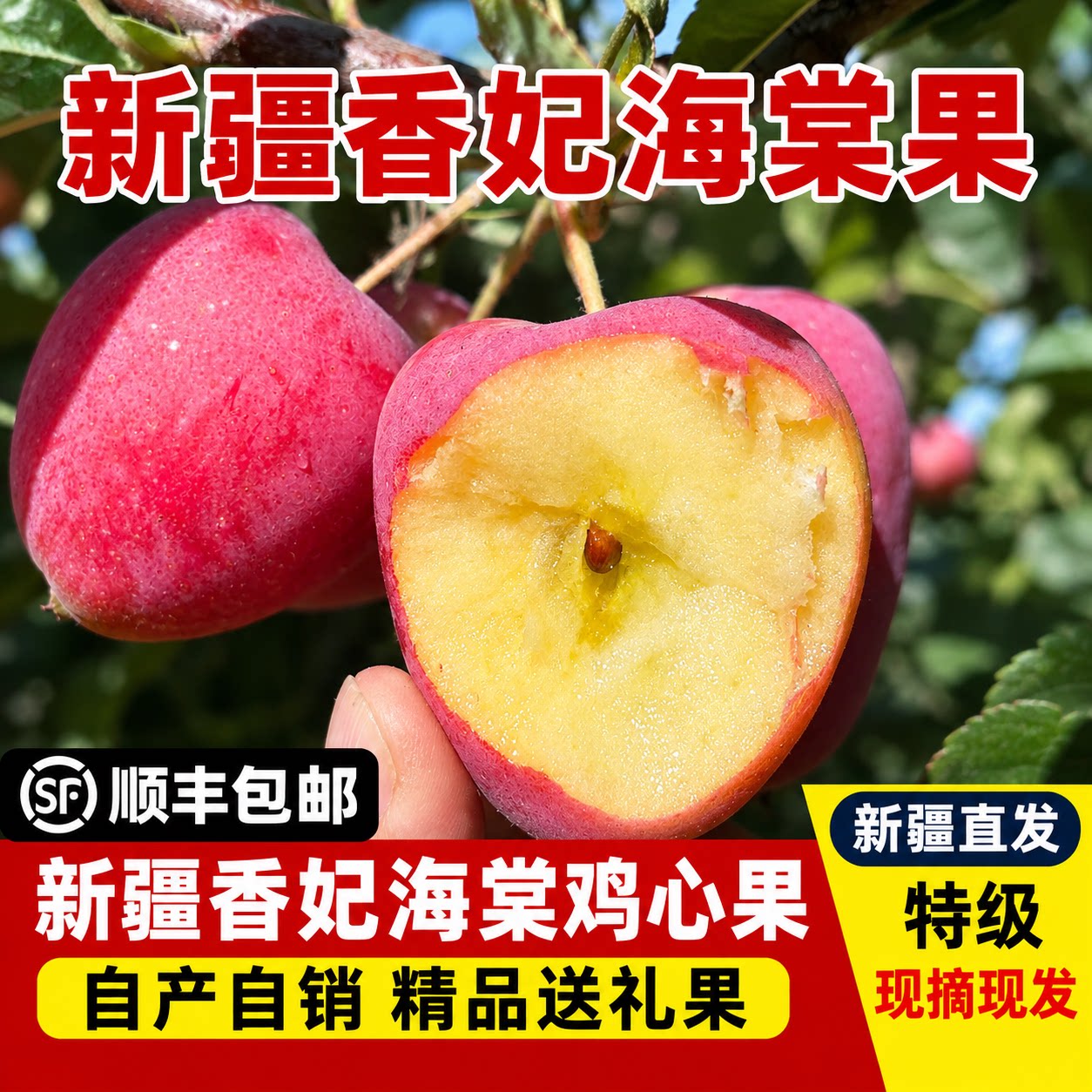 新疆香妃海棠果新鲜鸡心小苹果应季脆甜水果产地现摘现发整箱包邮