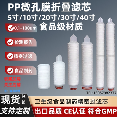 食品级PP微孔膜折叠滤芯10寸20寸