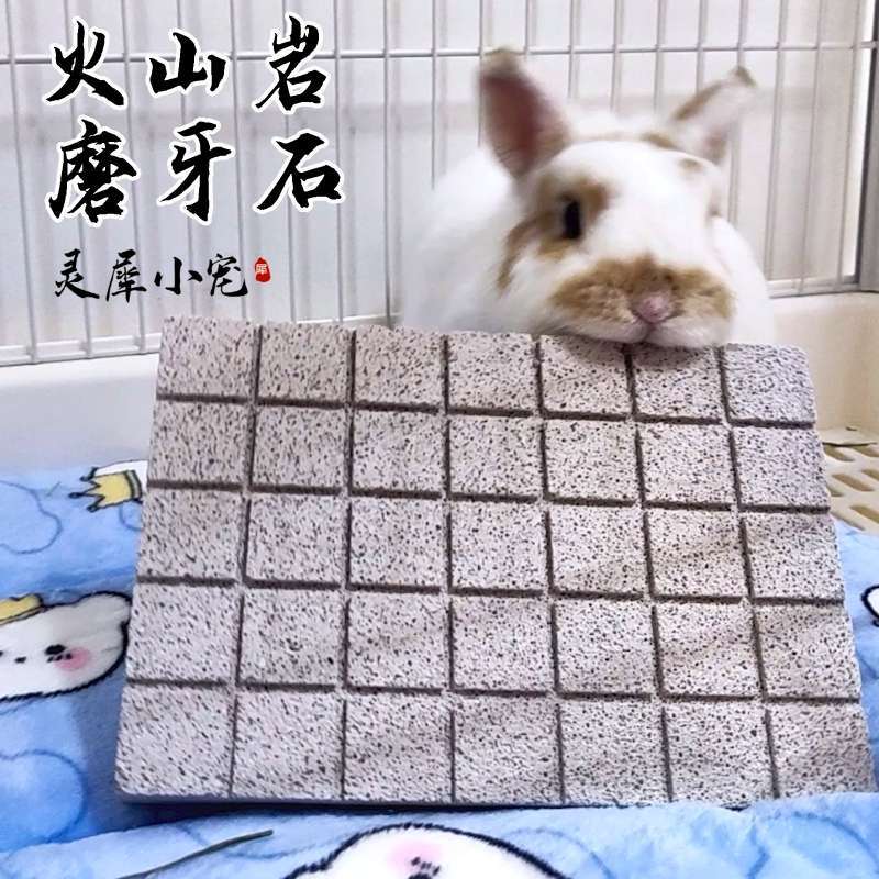 兔子磨牙神器火山巖磨甲