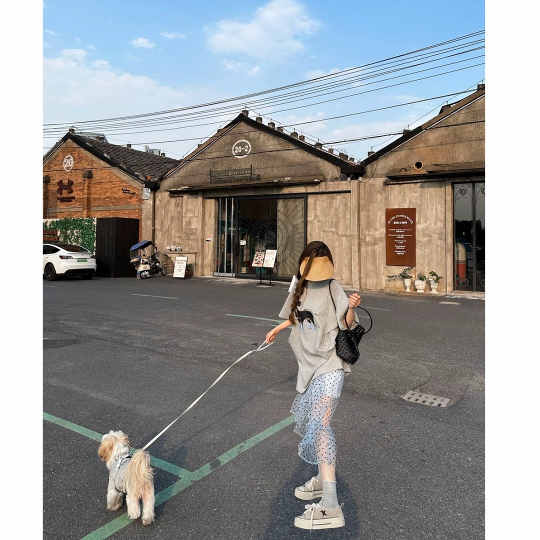 韩系夏季宽松T恤波点裙两件套