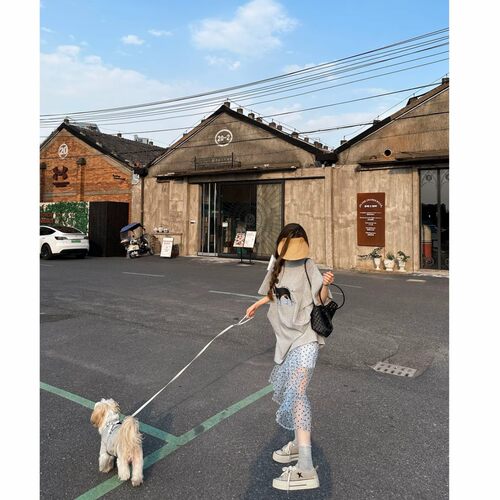 韩系夏季宽松T恤波点裙两件套